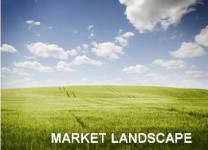 Market Landscape